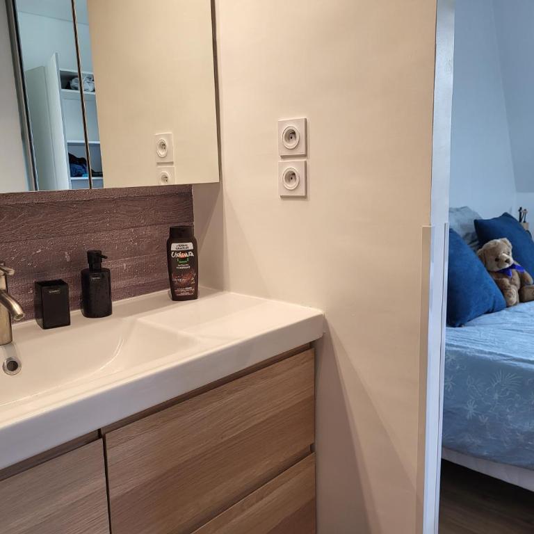 Domaine des Roches - Appartement 1 Chambre - 15