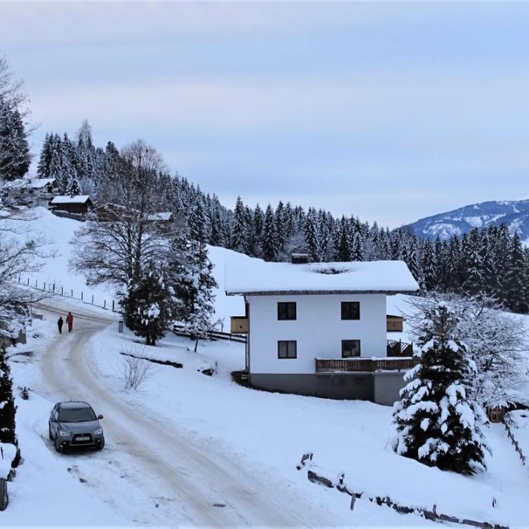 AlpinResort DerBacherhof - Standard Studio - 1