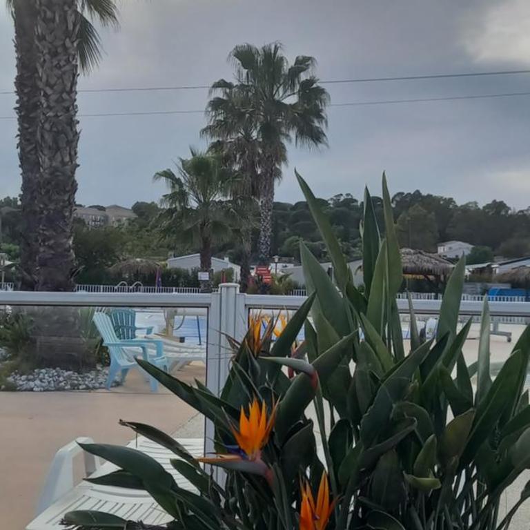 Azur072 - Mobile Home - 3