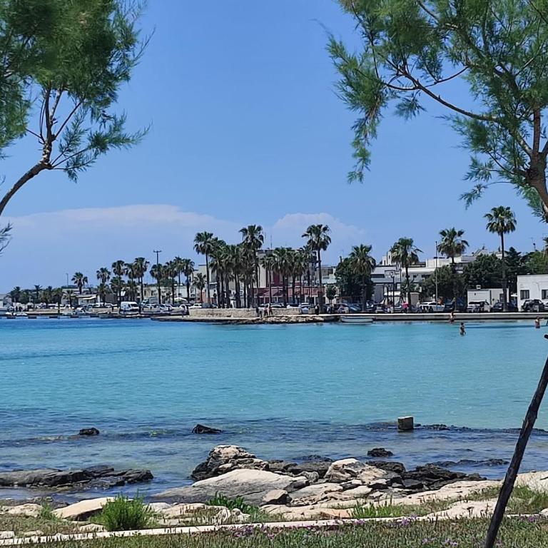 ORCHIDEA by SALENTO OASIS - One-Bedroom House - 15