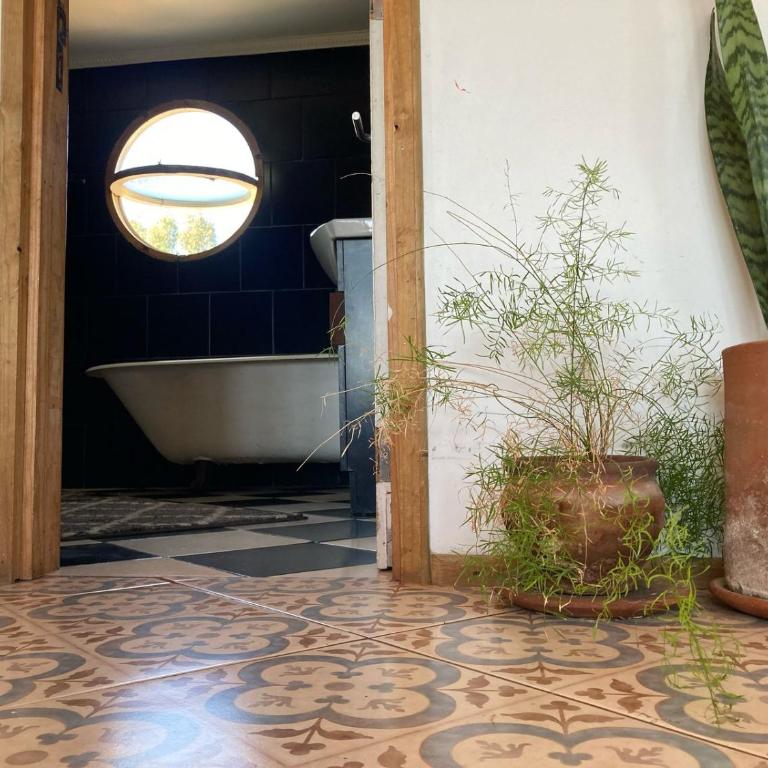 La pajarera, parcela de agrado - Casa con 1 dormitorio - 23