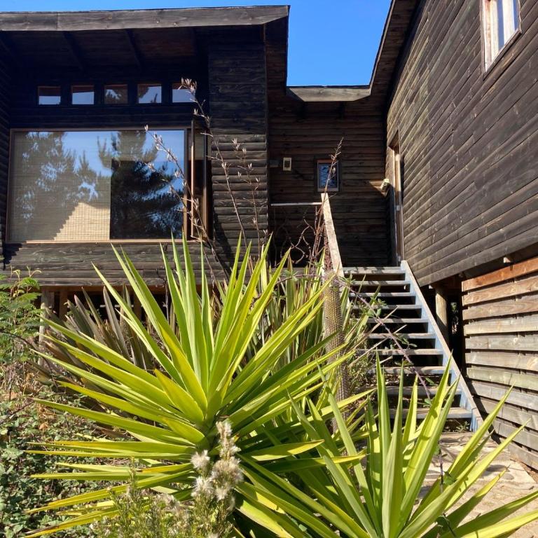 La pajarera, parcela de agrado - Casa con 1 dormitorio - 37