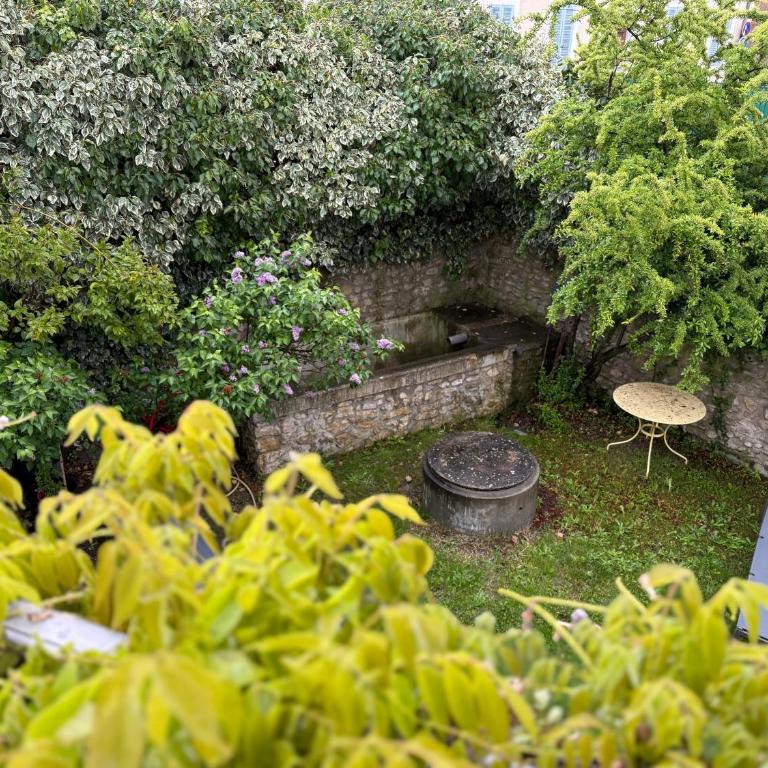 White Ventoux-central-parking gratuit-securise-terrasse & jardin - Apartment mit 2 Schlafzimmern - 11