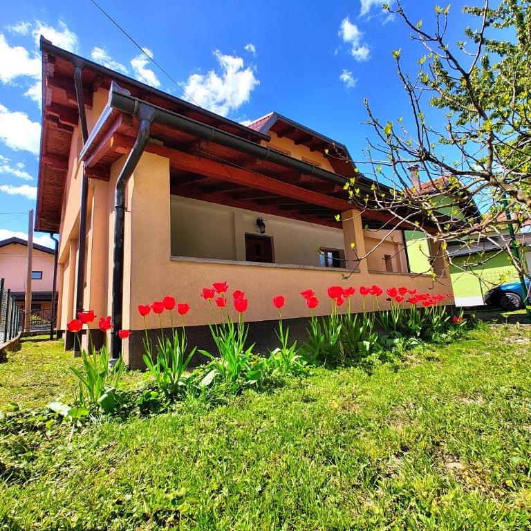 Apartment Residence House - Two-Bedroom Villa - 6