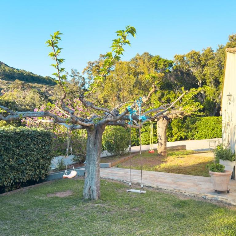 Exclusive Authentic Riviera Villa - Private Pool, Pétanque Court, Panoramic Mediterranean Sea & Estérel Mountain Views - Villa mit privatem Pool - 36