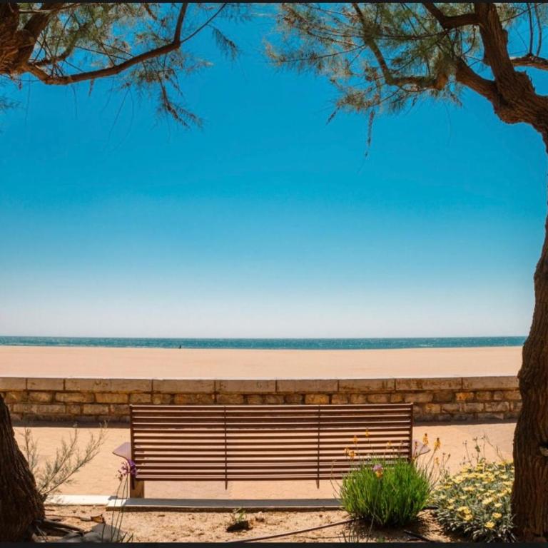 La coquille - Appartement spacieux 45m2, T2 à 1min de la plage - WIFI - Apartamento de 1 dormitorio - 12