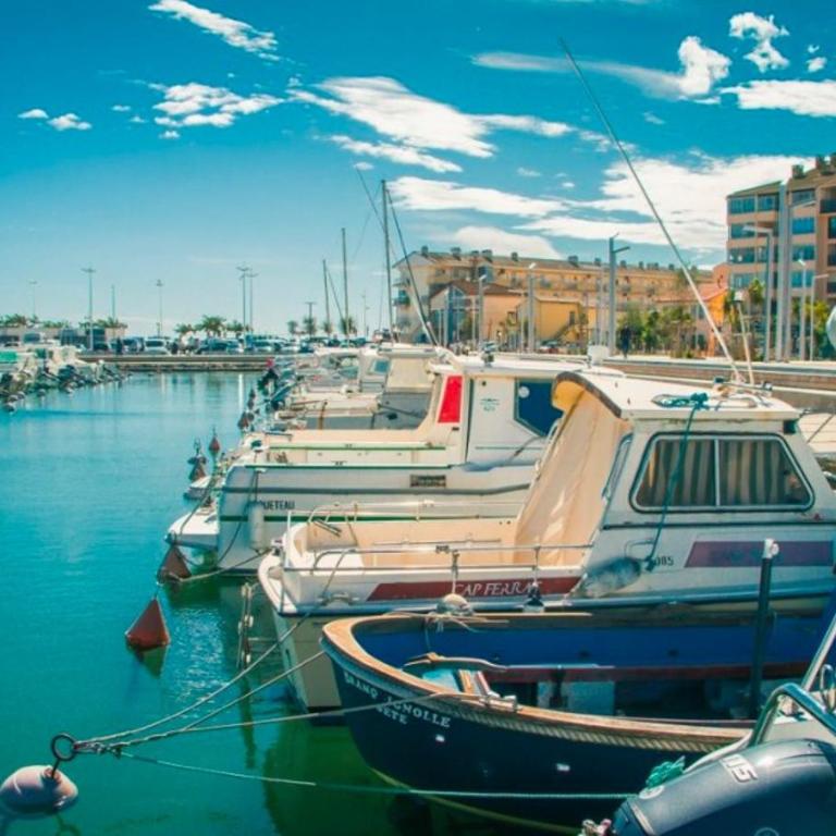 La coquille - Appartement spacieux 45m2, T2 à 1min de la plage - WIFI - Apartamento de 1 dormitorio - 14