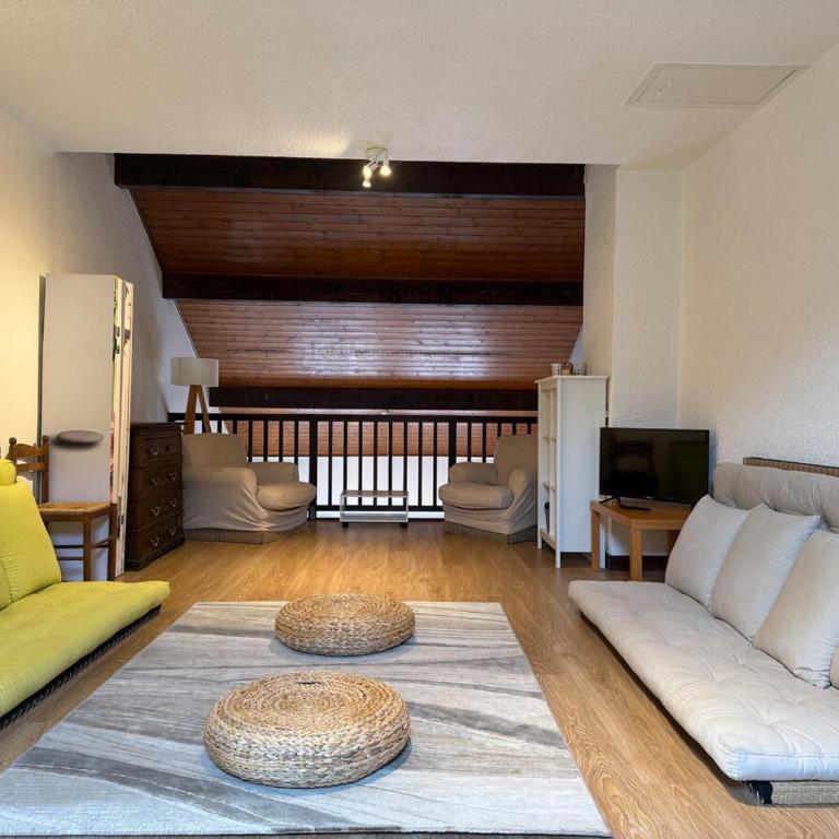 Duplex 15 Pers-Proche Grands Cols-Garage - Appartement - 24