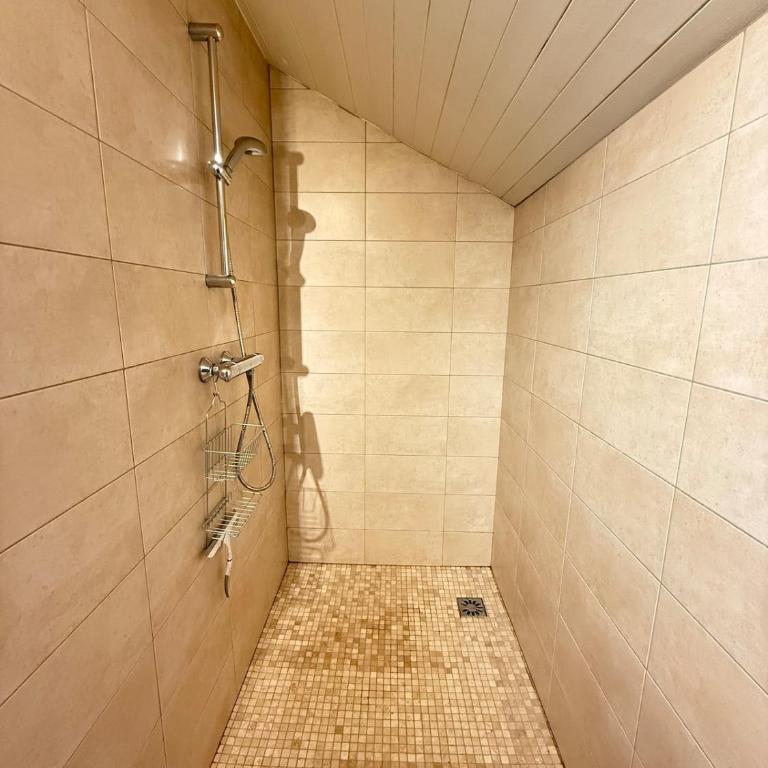 Duplex 15 Pers-Proche Grands Cols-Garage - Appartement - 39