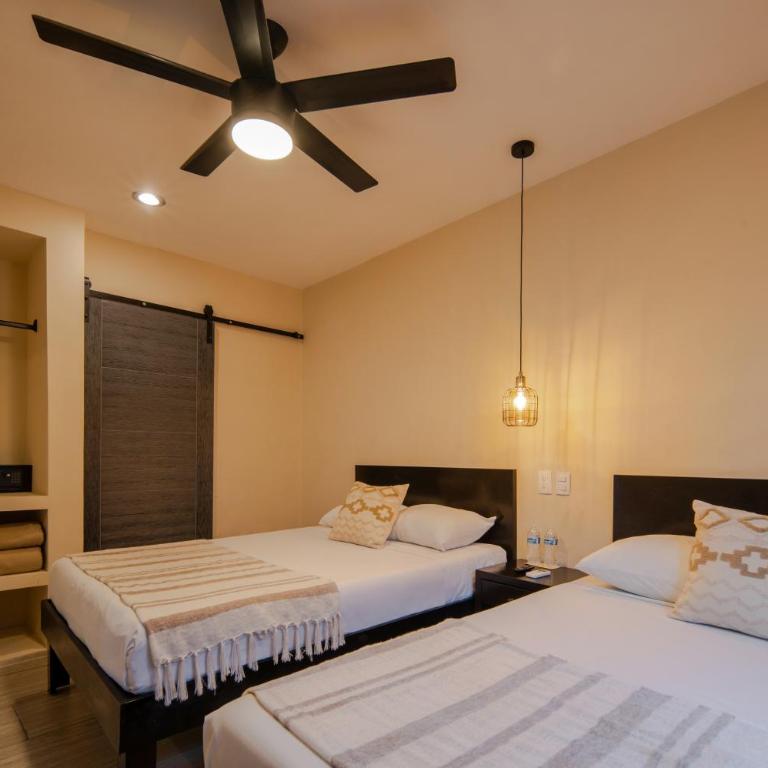 Hotel Caracol Isla Mujeres - Studio - 2