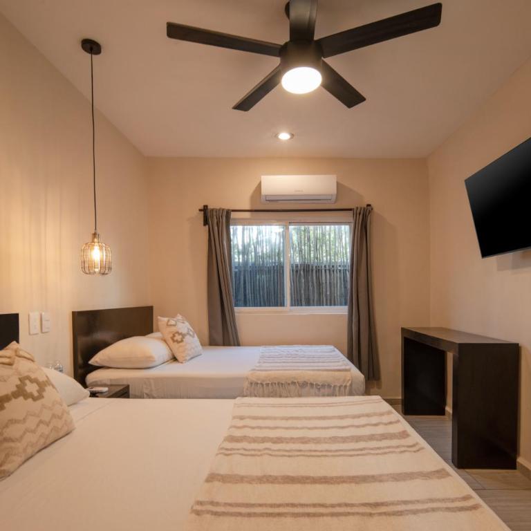 Hotel Caracol Isla Mujeres - Studio - 5