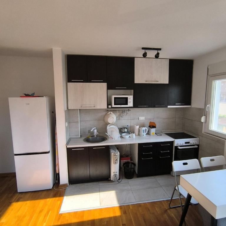 Apartment for a day, Zemun, Altina, two rooms - Apartman sa 1 Spavaćom Sobom - 14