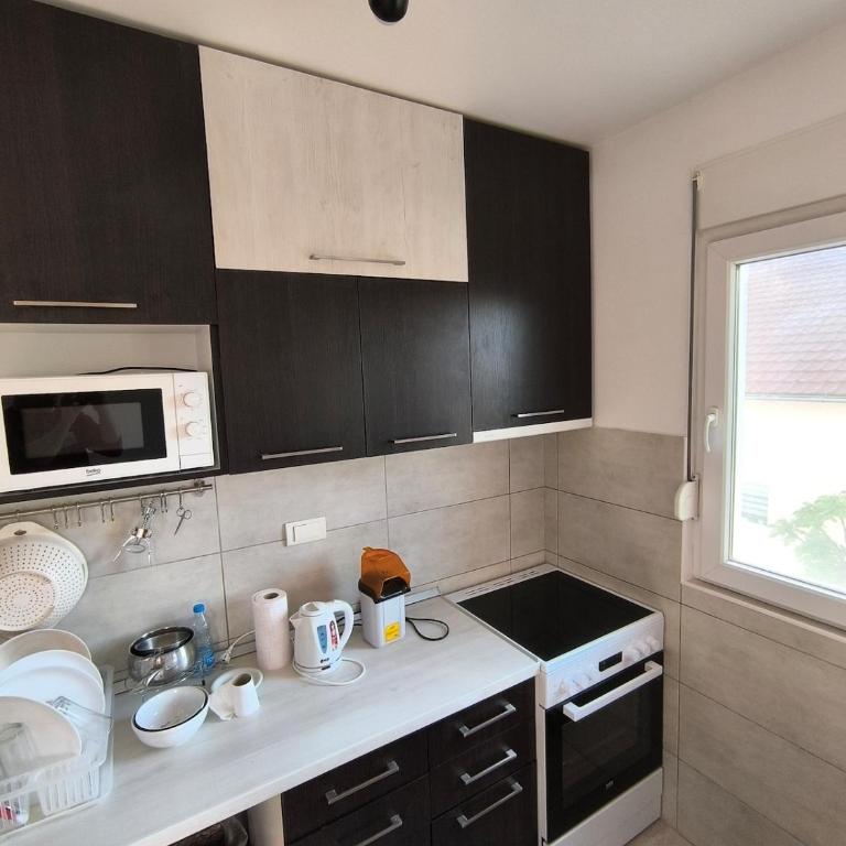 Apartment for a day, Zemun, Altina, two rooms - Apartman sa 1 Spavaćom Sobom - 22