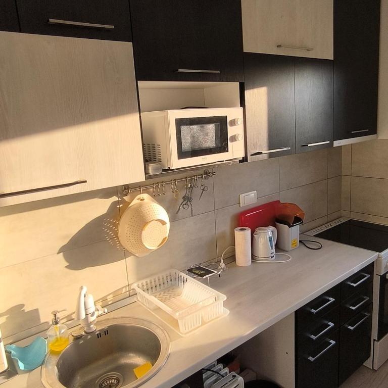 Apartment for a day, Zemun, Altina, two rooms - Apartman sa 1 Spavaćom Sobom - 24