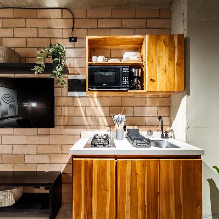 Otalu Suites - Estudio Estándar - 5