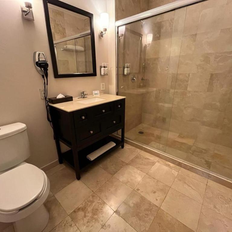 Holiday Inn Mexico Santa Fe by IHG - Habitación Estándar con cama extragrande - Adaptada para personas de movilidad reducida - 2