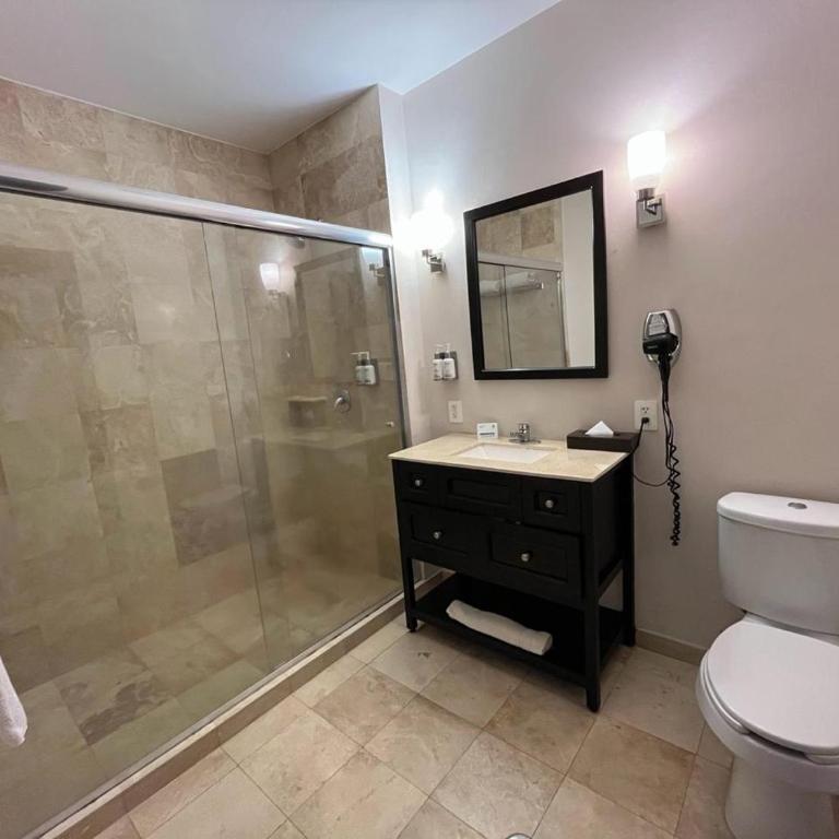 Holiday Inn Mexico Santa Fe by IHG - Habitación Estándar con cama extragrande - Adaptada para personas de movilidad reducida - 3