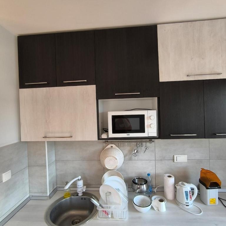 Apartment for a day, Zemun, Altina, two rooms - One-Bedroom Apartment - 12