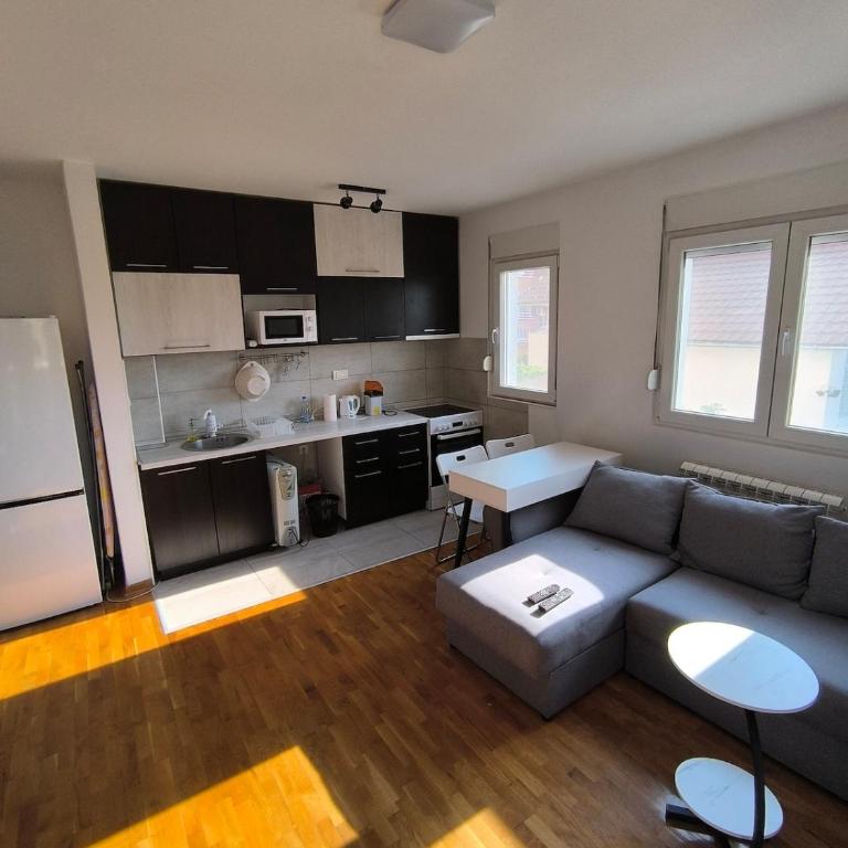 Apartment for a day, Zemun, Altina, two rooms - One-Bedroom Apartment - 22
