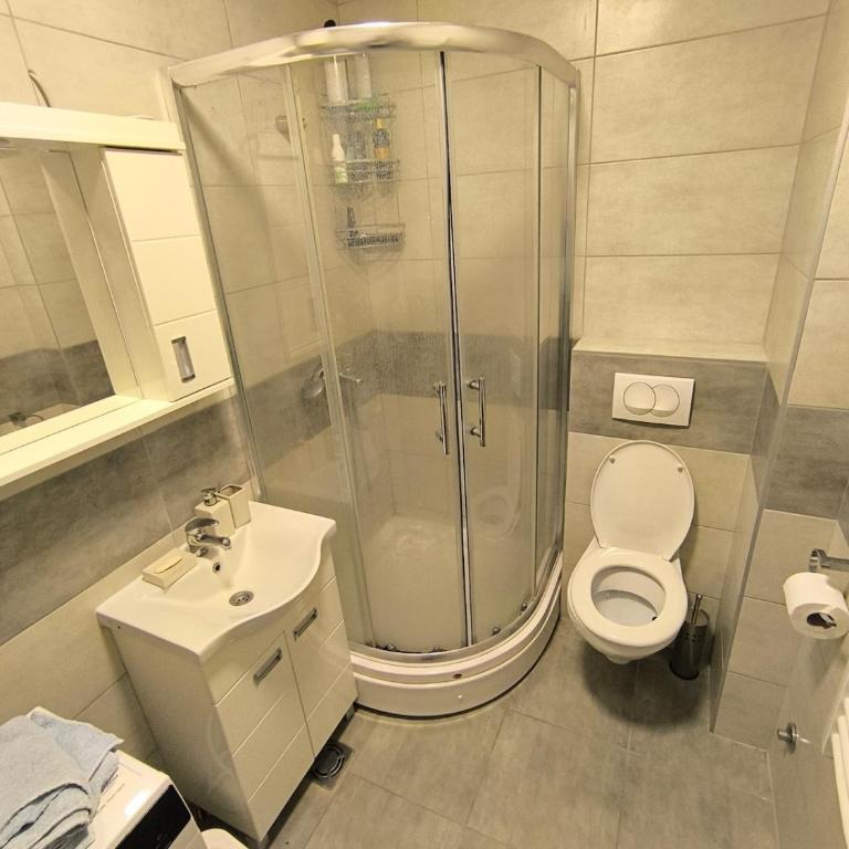 Apartment for a day, Zemun, Altina, two rooms - One-Bedroom Apartment - 33