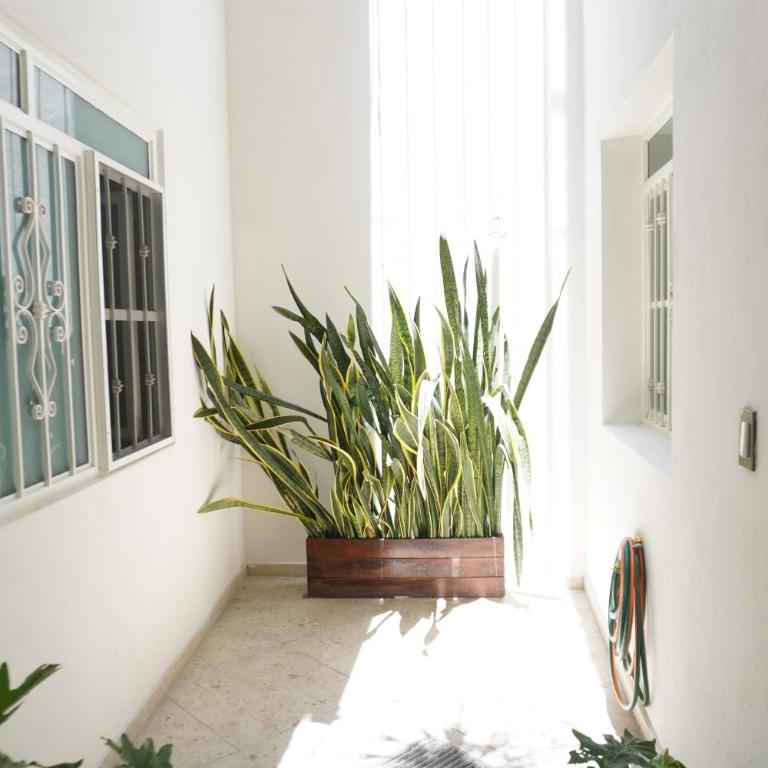 Departamento Vintage - Apartamento de 3 dormitorios - 26