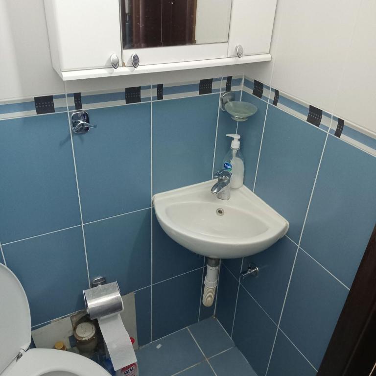 Apartman Lenkica - Apartman sa 1 Spavaćom Sobom - 6