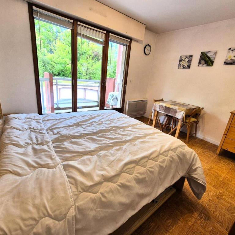 Résidence Le Saint Charles A - Studio idéalement situé à 50 m des Thermes Chevalley ! MAE-7704 - Studio - 4
