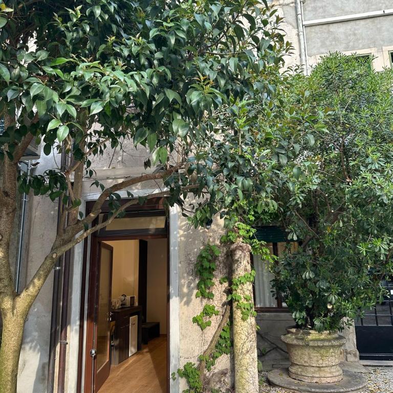 Isola Memmia - Suite - 2