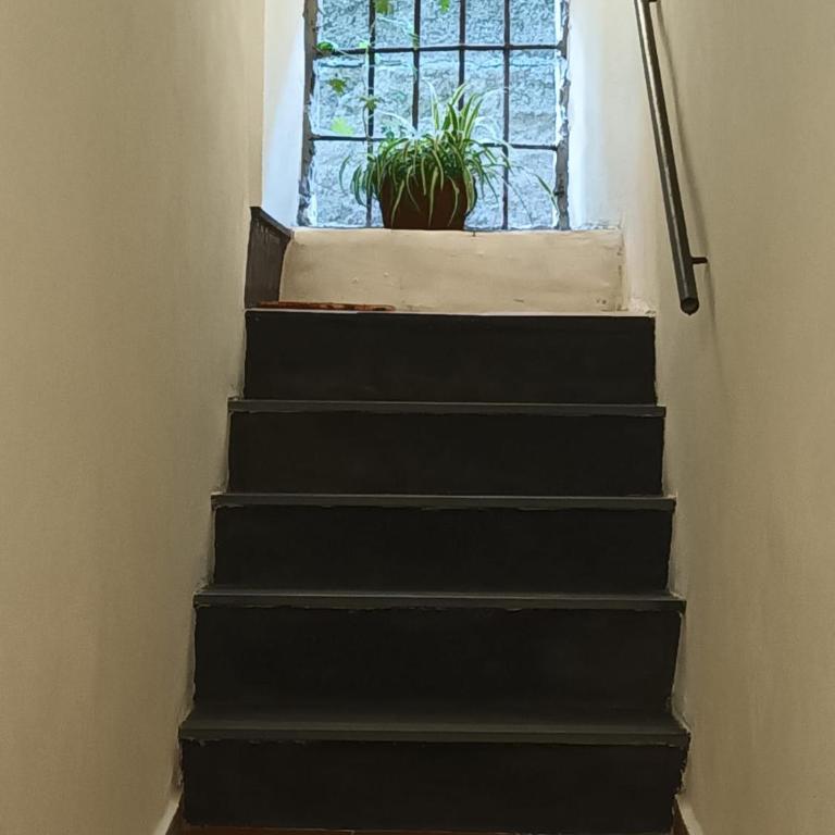Menotti Holiday House - Appartamento - 20