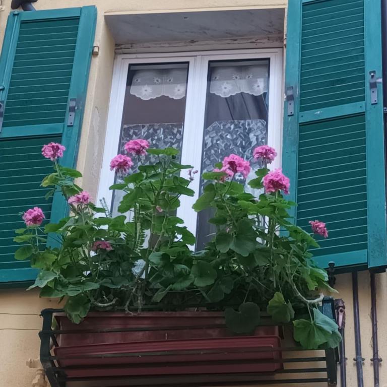 Menotti Holiday House - Appartamento - 22