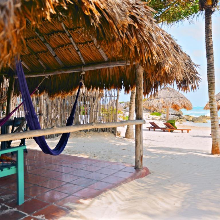 Zamas Hotel - Habitación Clásica - Primera línea de playa - 11