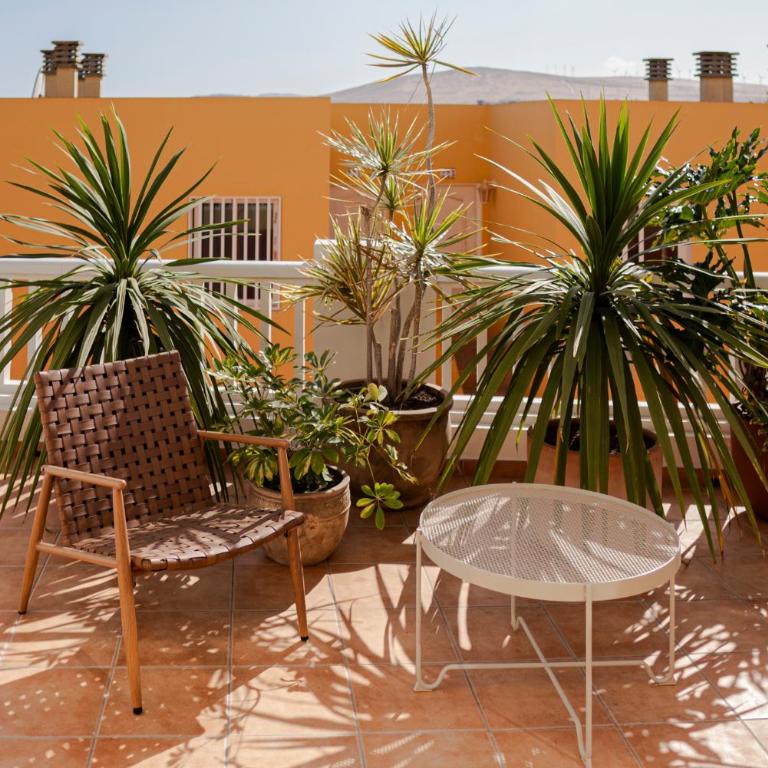 Casa Palmita - Costa Calma - Modern Apartment 2 Guests Terrace WiFi - Apartamento de 1 dormitorio - 3