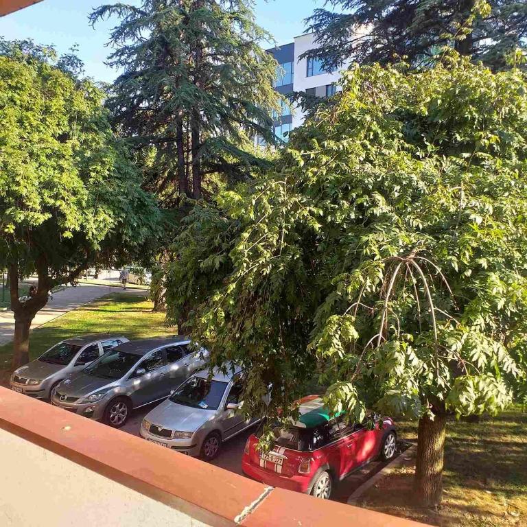AM Rooms - Apartman sa 2 Spavaće Sobe - 5