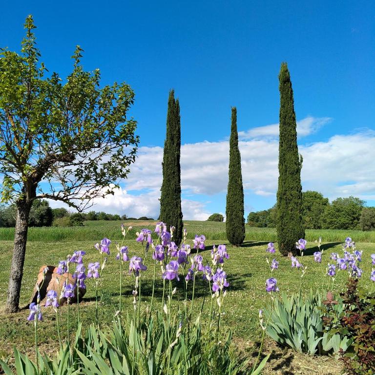 Villa Nobile Cortona - Casa Vacanze - 58