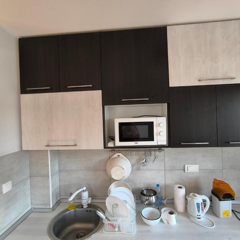 Apartment for a day, Zemun, Altina, two bedrooms - Apartman sa 1 Spavaćom Sobom - 7