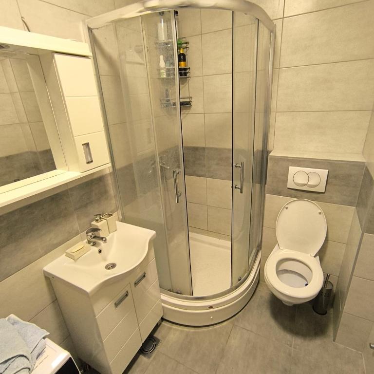 Apartment for a day, Zemun, Altina, two bedrooms - Apartman sa 1 Spavaćom Sobom - 29