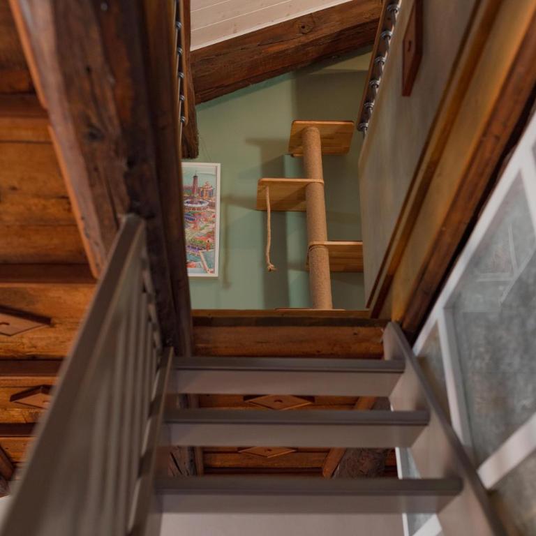 Casa Mimmo, AC, 2 ROOMS, MOLE - Two-Bedroom Apartment - 46