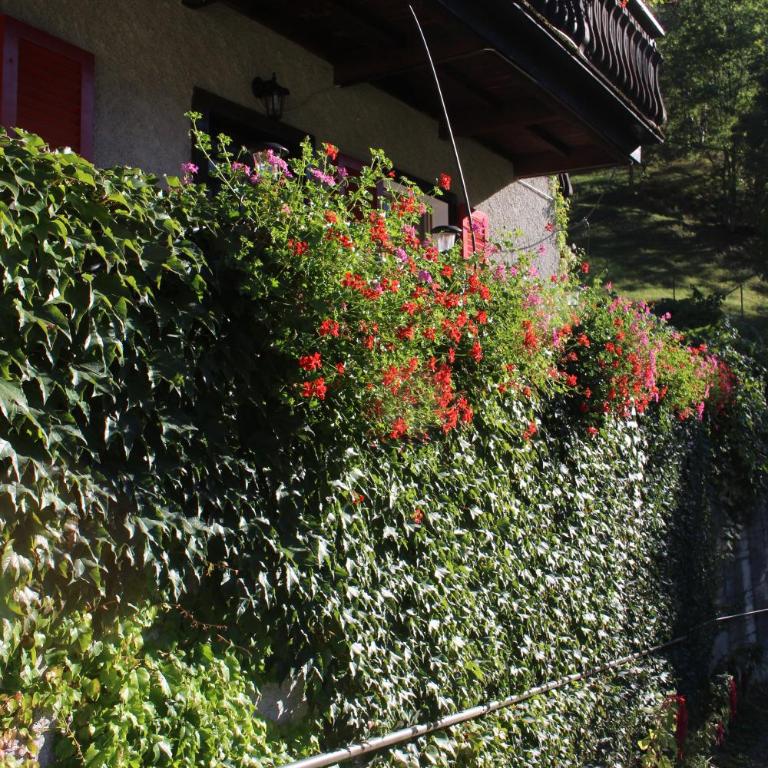 Chalet Chinegga - Appartement avec Vue sur la Montagne - 49