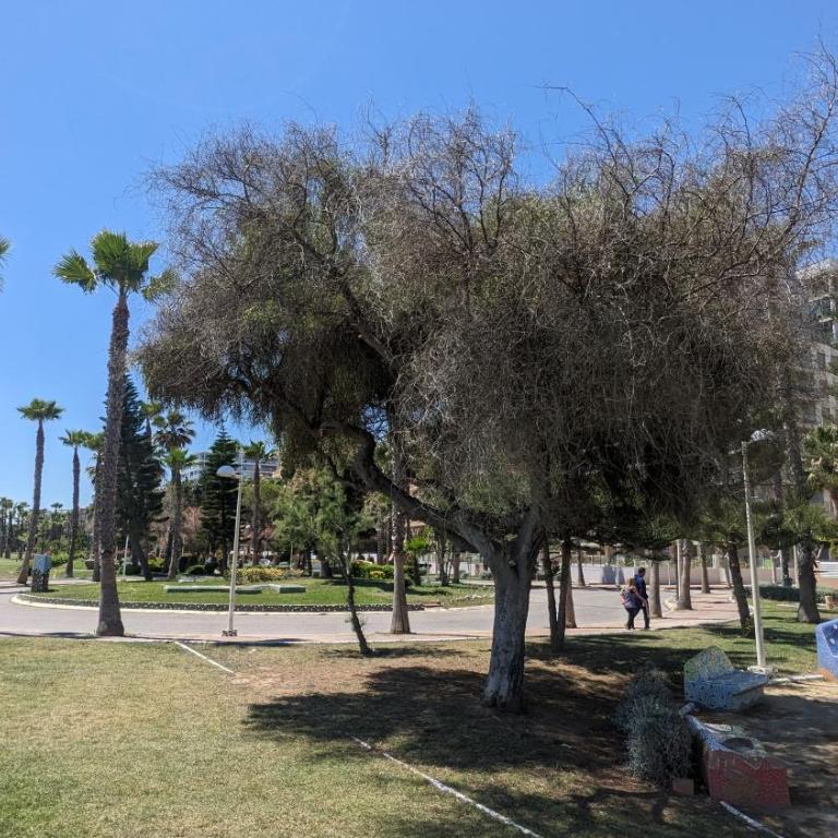 Primera Línea con Vistas Panorámicas al Mar - Apartamento de 2 dormitorios con terraza y vistas al mar - 24