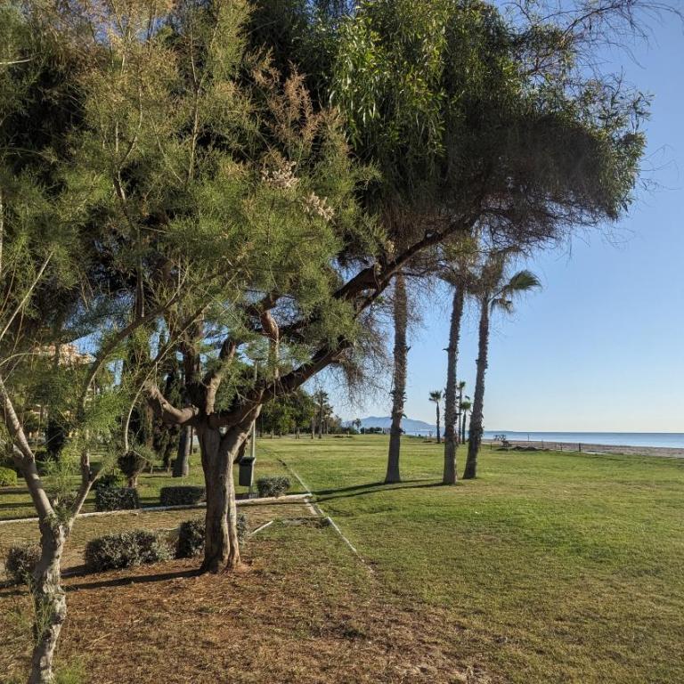 Primera Línea con Vistas Panorámicas al Mar - Apartamento de 2 dormitorios con terraza y vistas al mar - 25