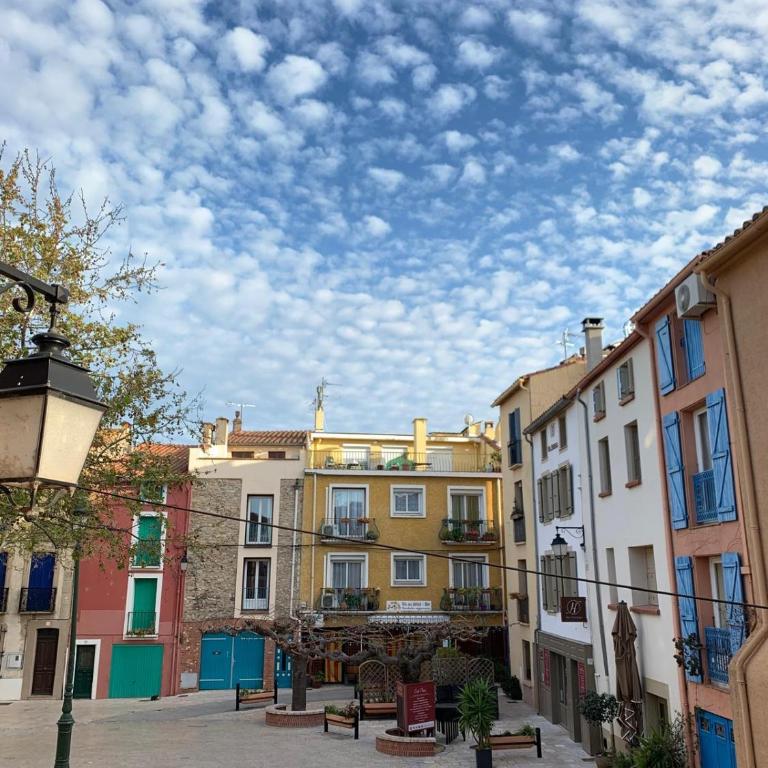 Studio plein coeur d'Argeles sur Mer - Studio - 14