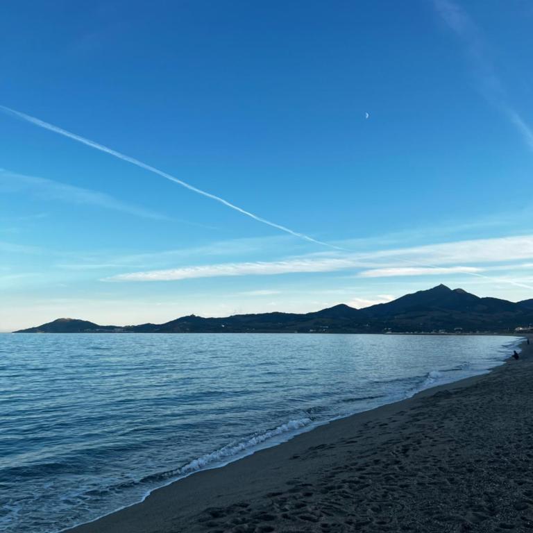 Studio plein coeur d'Argeles sur Mer - Studio - 23