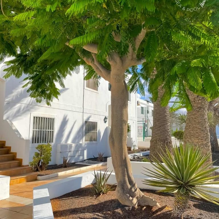 PAKKI house - Apartamento de 1 dormitorio - 15