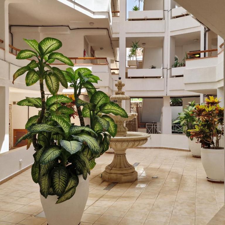Los Cristianos Holiday apartment - Apartamento de 1 dormitorio - 15