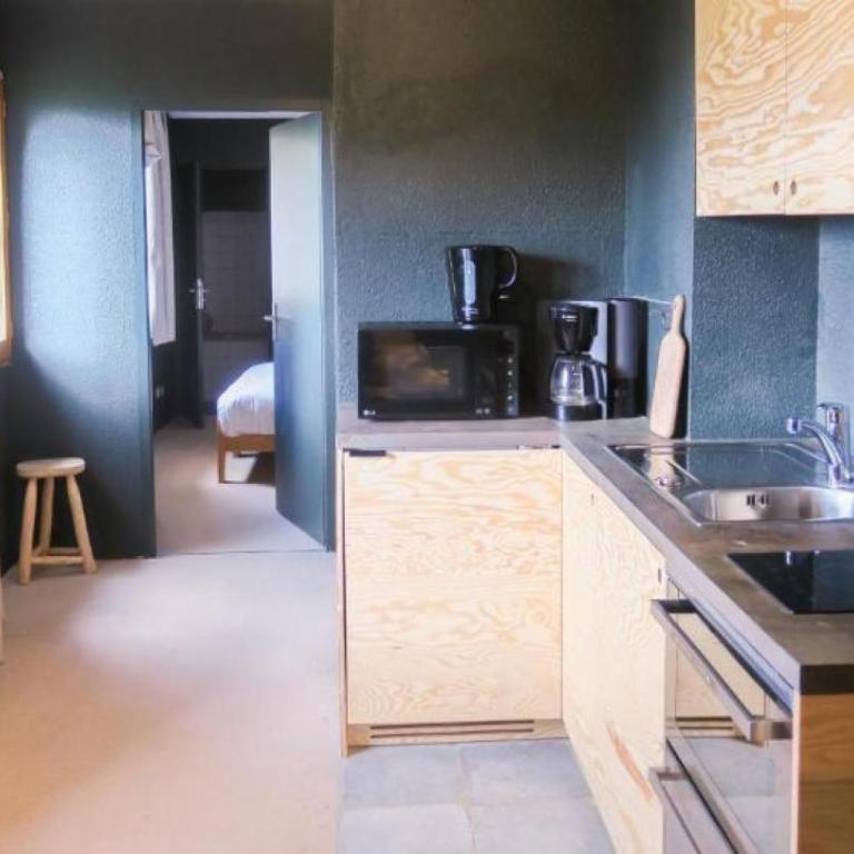 Alpeen Hotel - Appartement 1 Chambre - 1