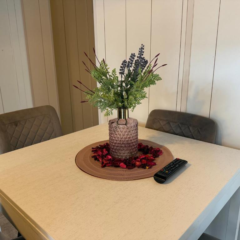 Residence Venezia Park - ENJOY HOLIDAY - Monolocale - 4