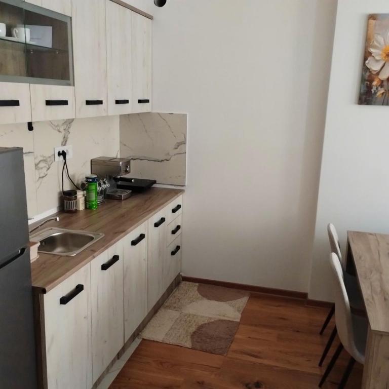 Apartman Obudovica - Apartman sa 1 Spavaćom Sobom - 10