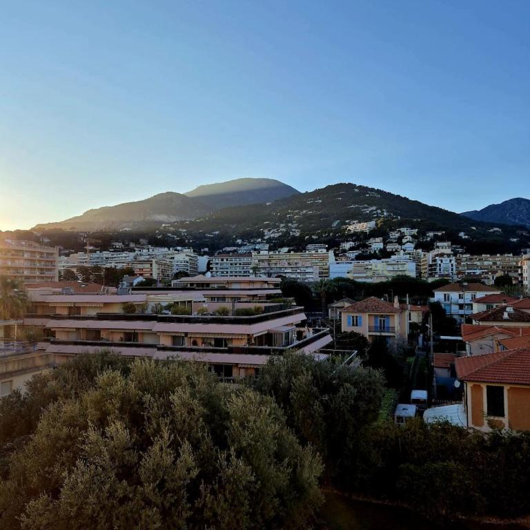 Studio Les Ligures - Appartement 1 Chambre - 16