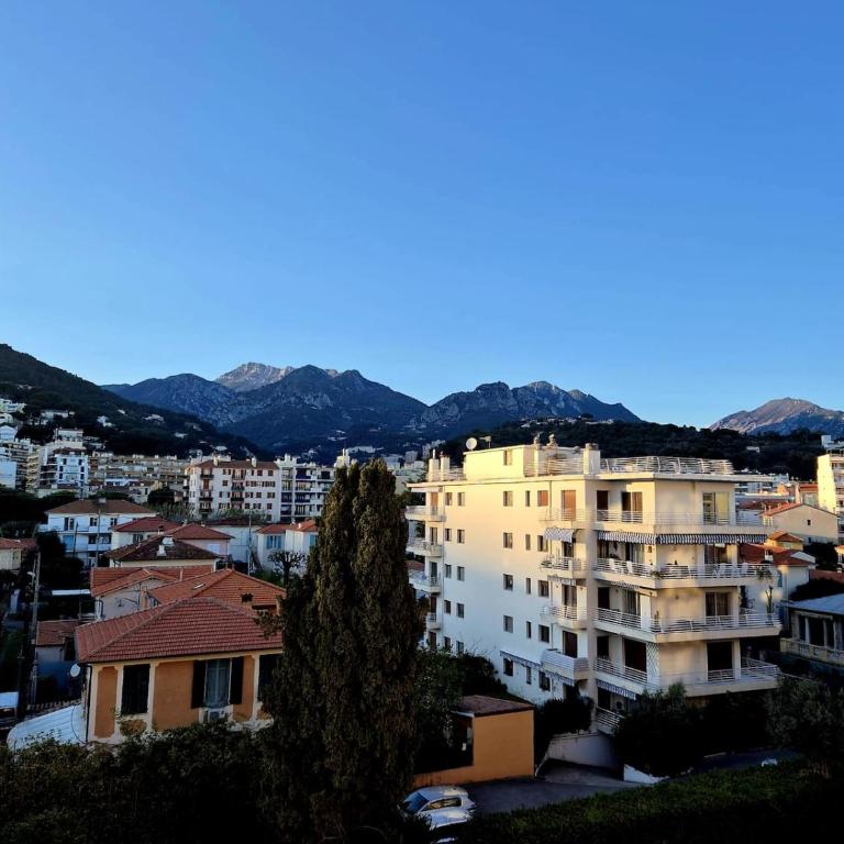 Studio Les Ligures - Appartement 1 Chambre - 5