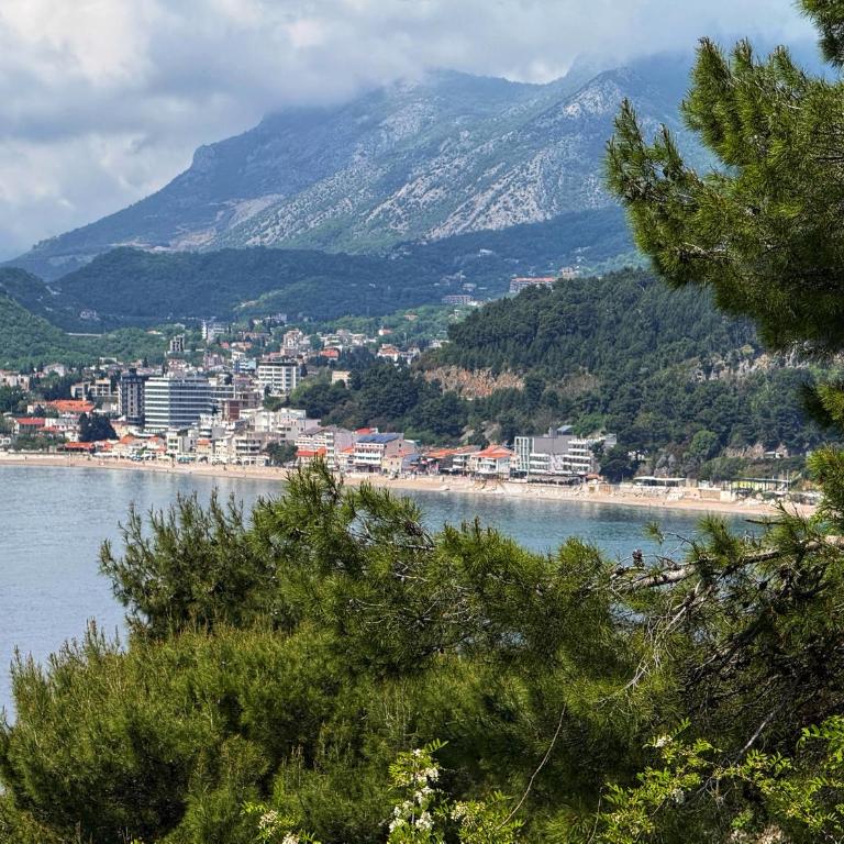 VILA TARA - Apartman sa 1 Spavaćom Sobom - 15